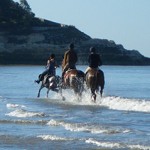 cavaliers_plage300